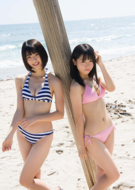 制コレ18