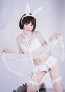 薄墨锦狐