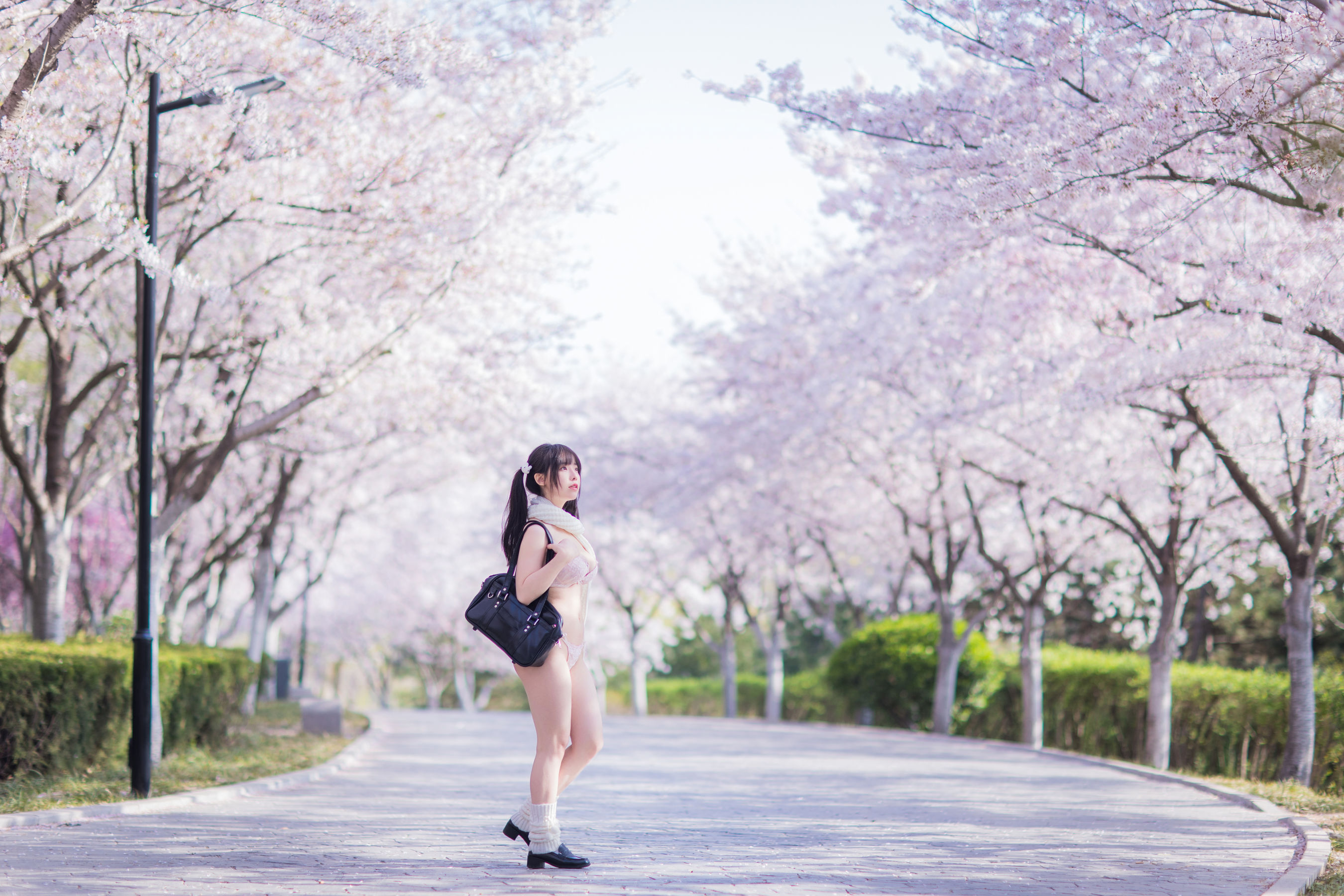 六味帝皇酱 – 樱花JK Cosplay-第2张